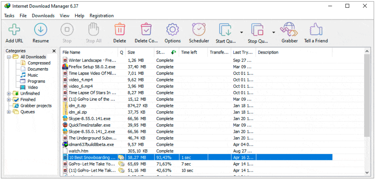 Internet Download Manager
