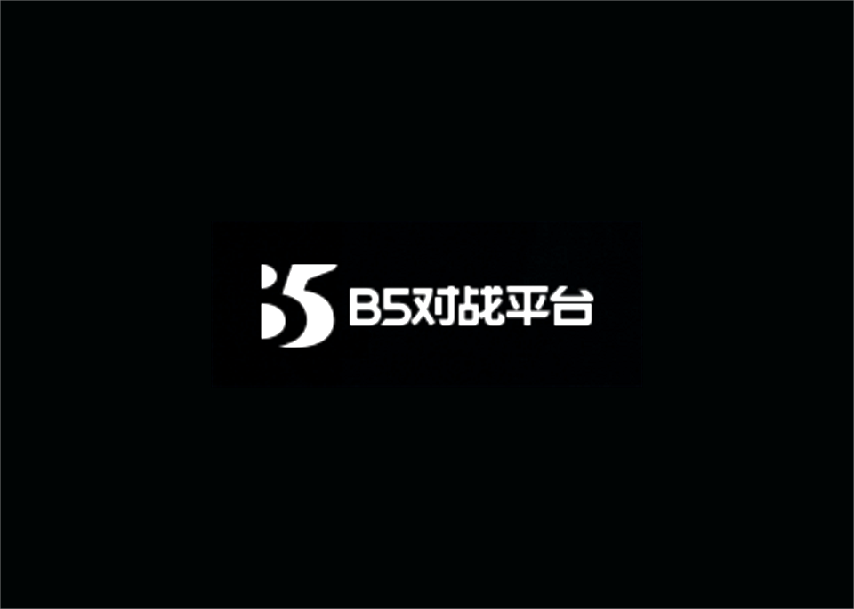 B5对战平台-游戏对战平台软件