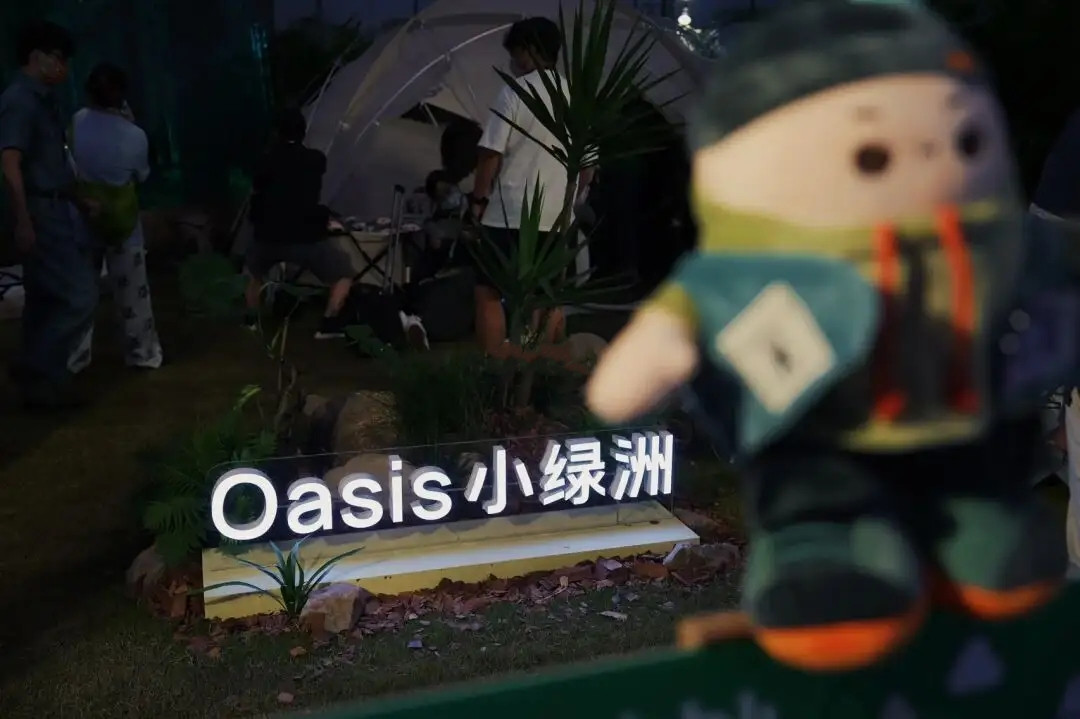 小红书旗下自有电商平台“小绿洲”下月停止运营