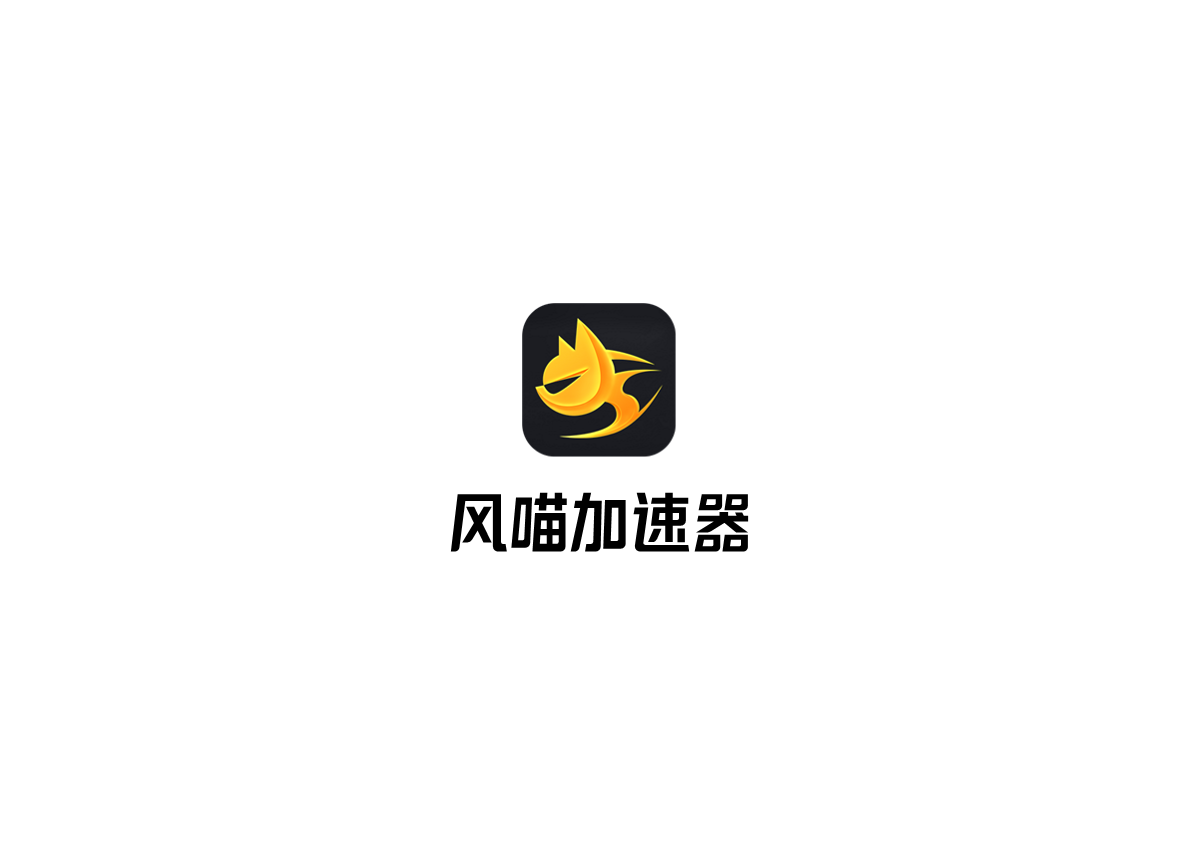 风喵加速器-游戏加速软件