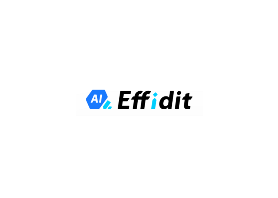 《Effidit》使用教程