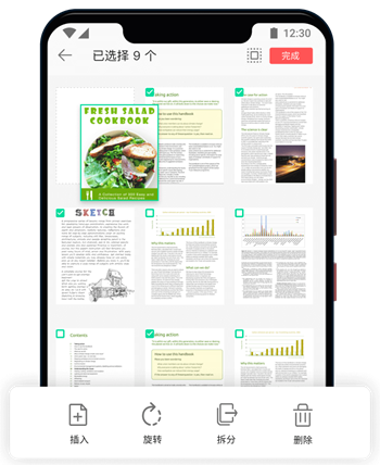 17PDF Reader