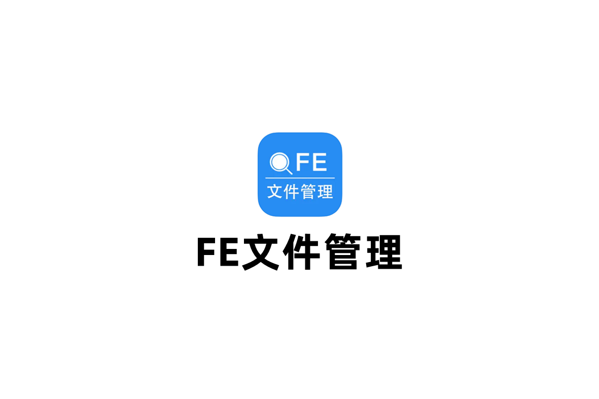 FE文件管理-文件管理软件