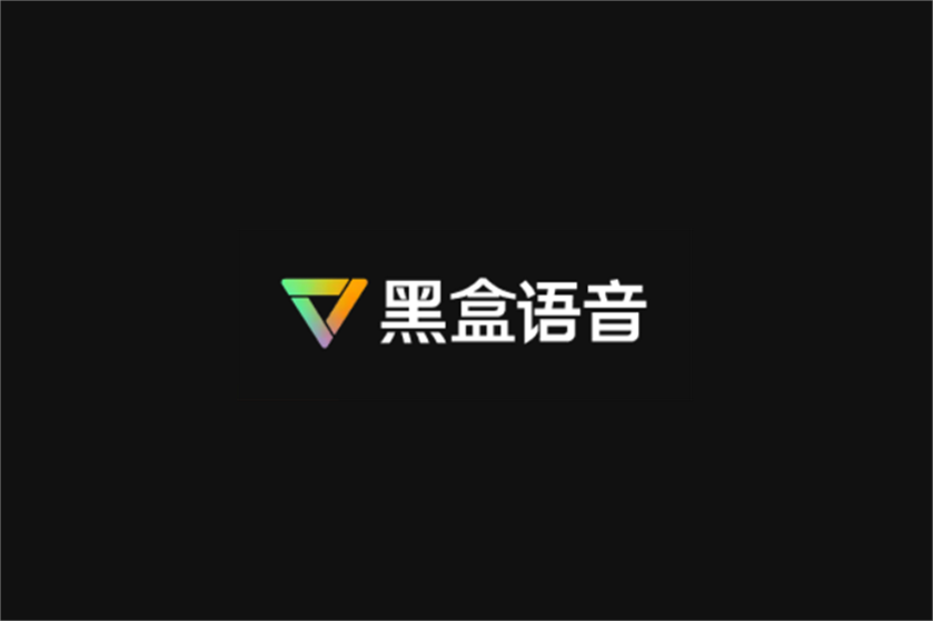 黑盒语音-游戏语音软件