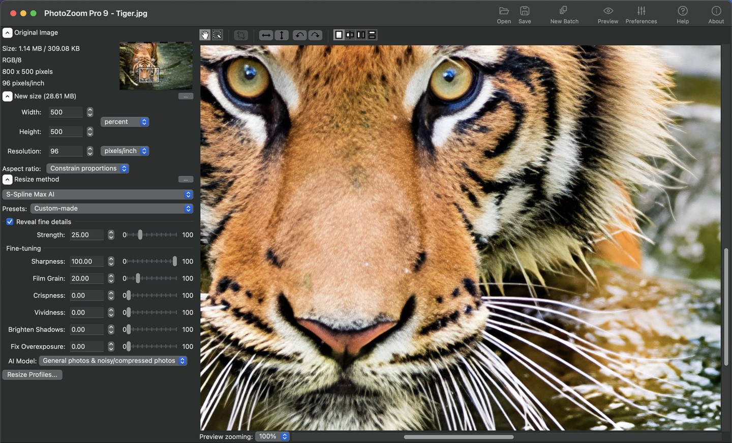 PhotoZoom