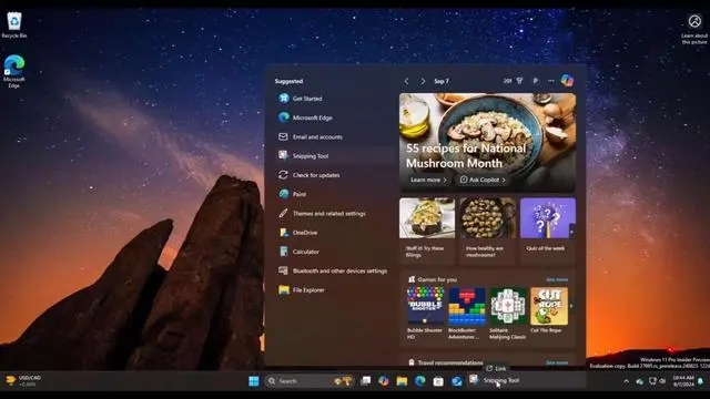 Windows 11