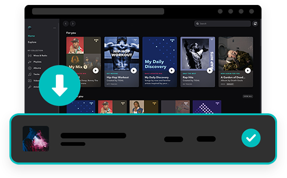 ViWizard Tidal Music Converter