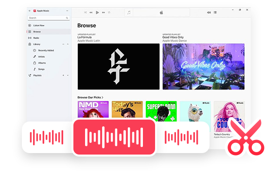 ViWizard Apple Music Converter