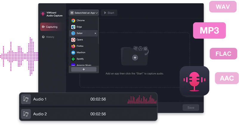 ViWizard Audio Capture