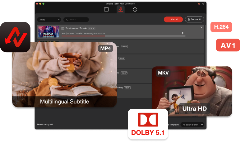 ViWizard Netflix Video Downloader