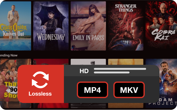 ViWizard Netflix Video Downloader