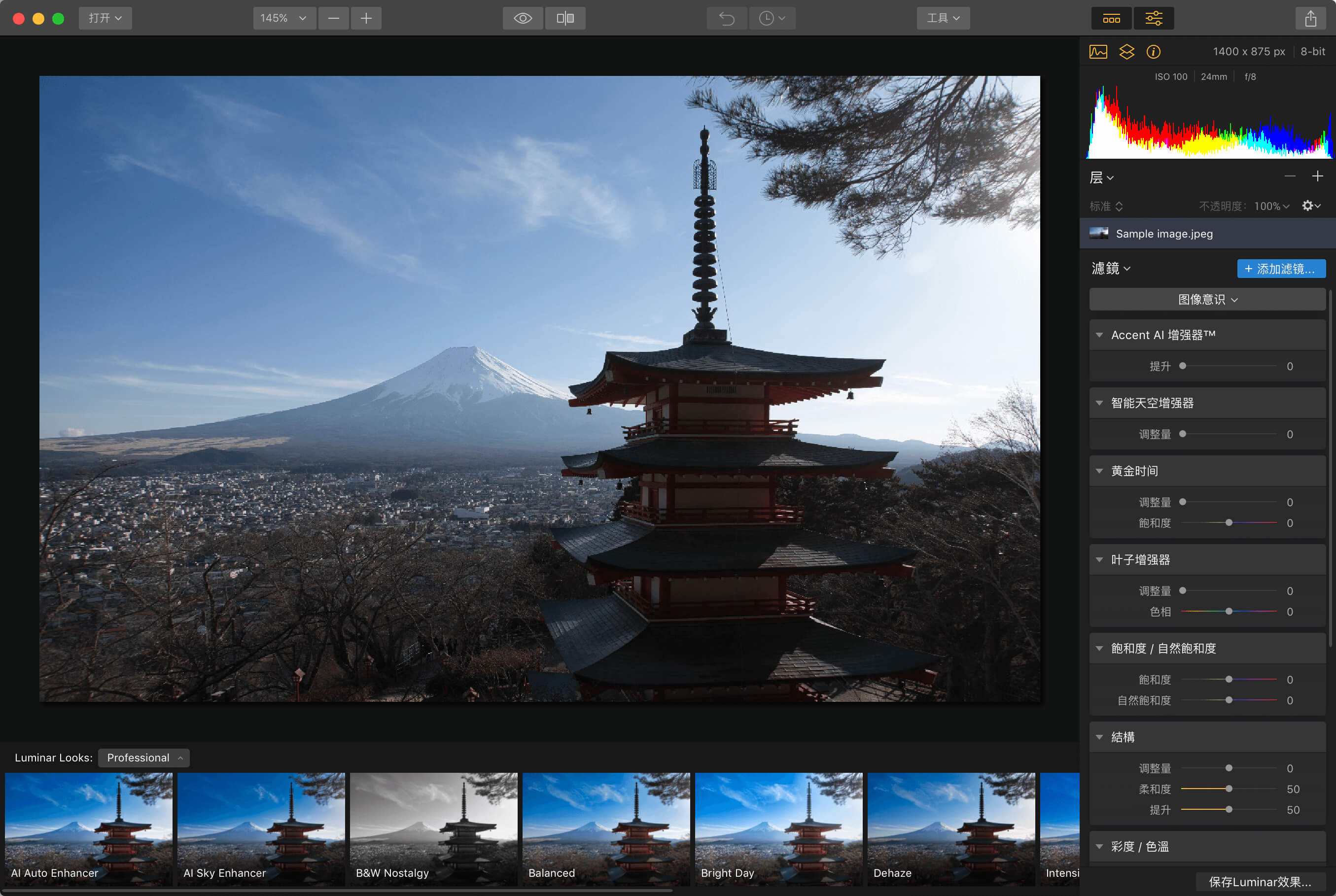 Luminar 4 Plugin