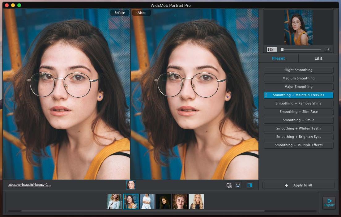 WidsMob Portrait Pro