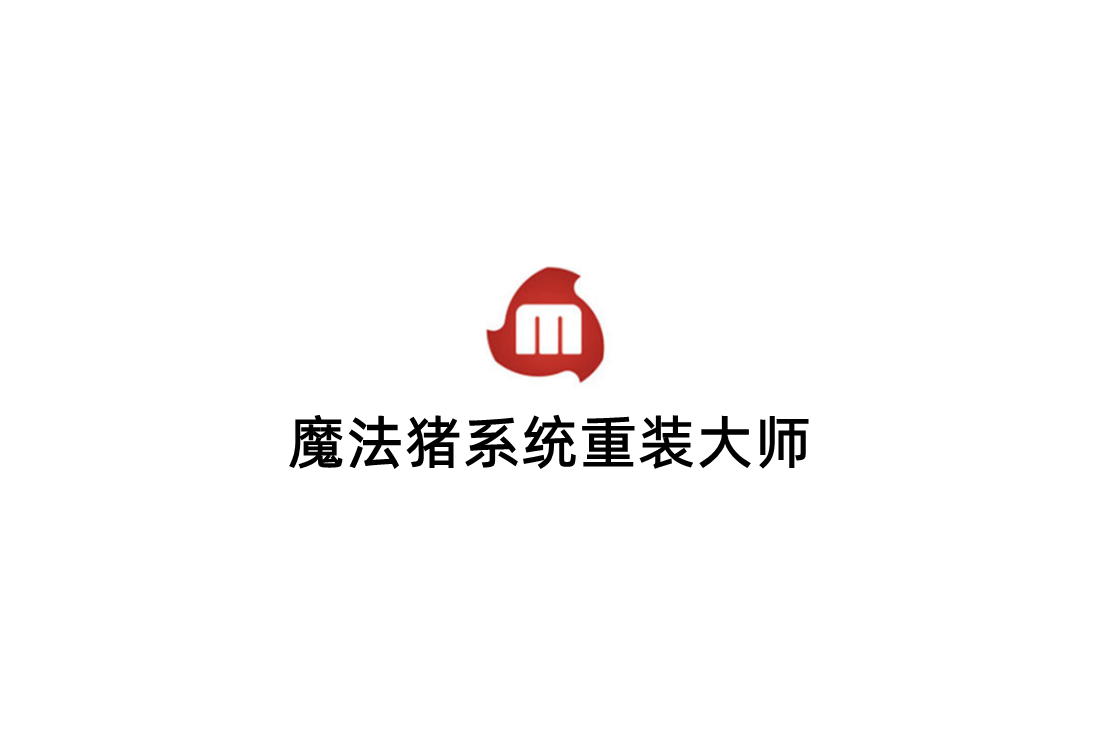 魔法猪系统重装大师-系统重装软件